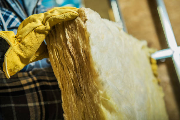 Best Garage Insulation Installation  in Centreville, MI