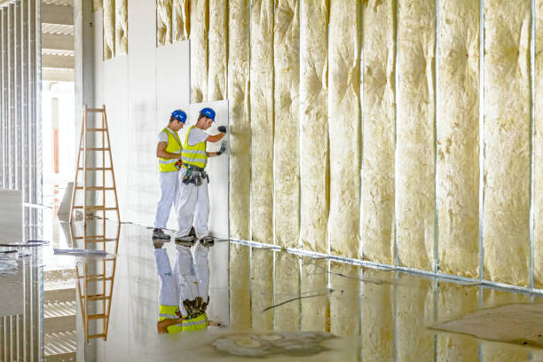 Trusted Centreville, MI Insulation Contractor Experts